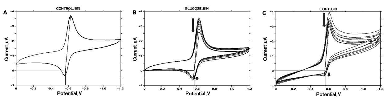 NR에 대한 cyclic voltametry