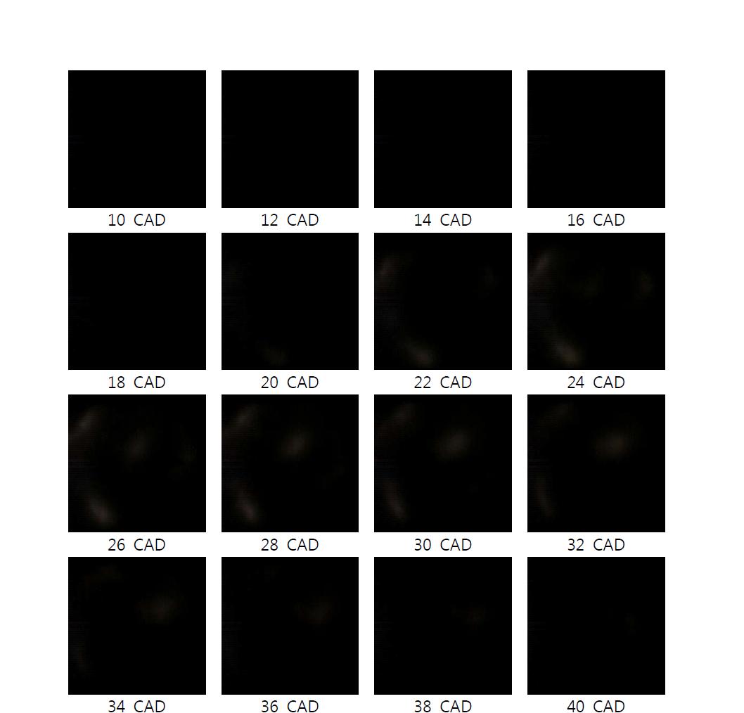 Flame propagation images(BD, 1500rpm, IMEP=5.5 bar, O2=13%, Pinj=500bar, SOI=BTDC 20 CAD, f/#=2.8)