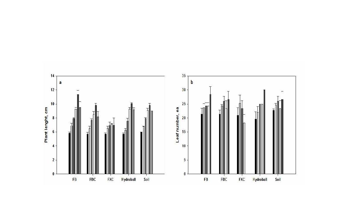 인공토 재배시험 생육조사 (a) plant lenght, (b) leaf number