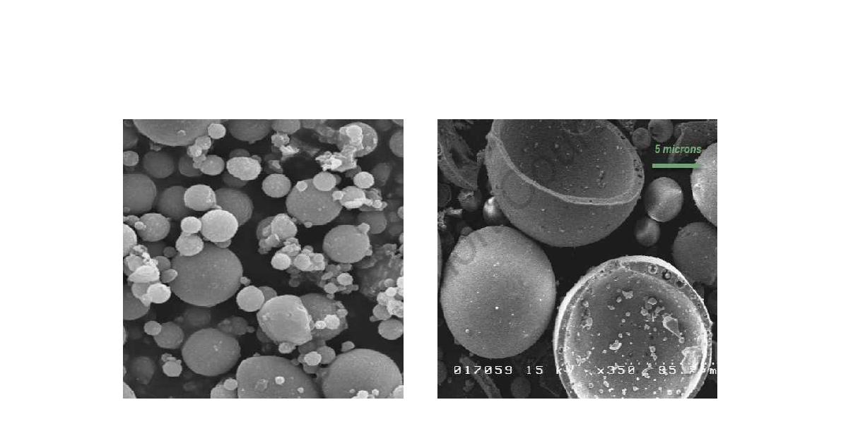 비산재(왼쪽)와 cenosphere (오른쪽)의 전자현미경사진