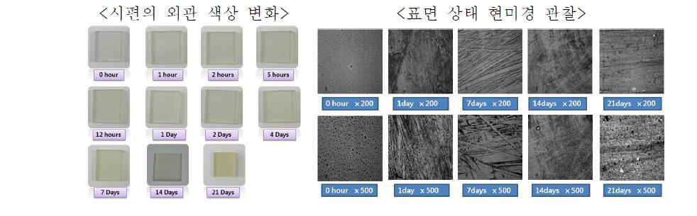 UV 조사 후 표면상태 및 소재 변질 관찰 결과