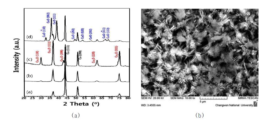 conversion coating에 의해 형성된 Black Copper의 XRD 분석 결과 (a) 및 높은 온도에서 형성된 black Cu 표면의 미세 형상 (b)