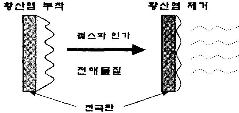 결정화된 황산염의 전극판 반응모형