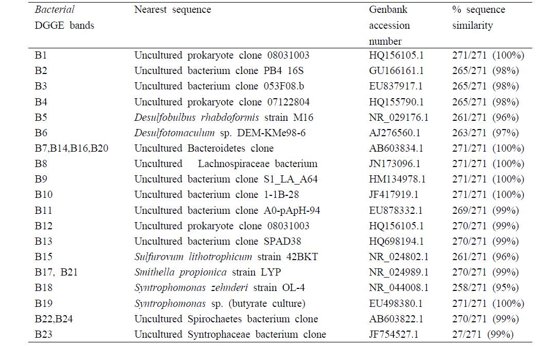 DGGE 분석 결과에 따른 각 band의 박테리아 동정 결과