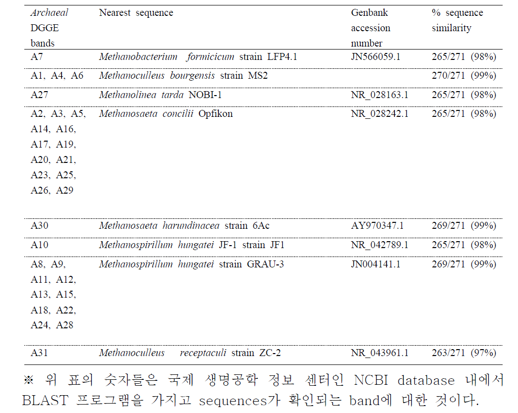DGGE 분석 결과에 따른 각 band의 메탄생성균 동정 결과