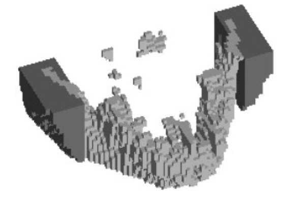 3D 형상 자료를 voxel형태로 쪼개어 MCNP 입력자료로 변형한 사례(팬텀의 귀밑샘)