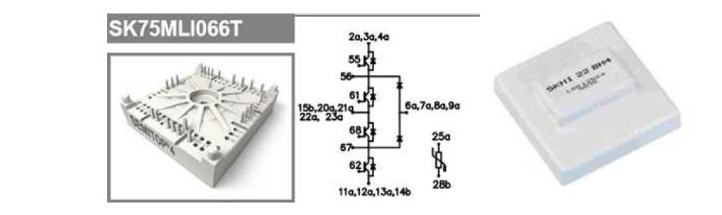 IGBT 모듈(a) 및 게이트 드라이버(b)