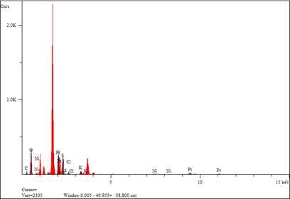 백금-니켈 이핵 금속 착화합물의 SEM-EDX 분석 데이터