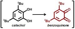 Catechol의 산화반응 에 의한 benzoquinone의 생성