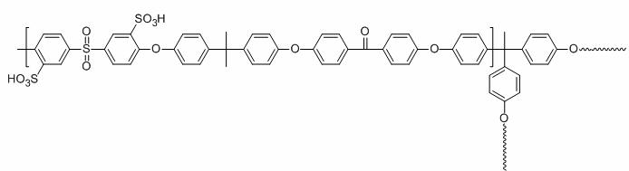Branch type sulfonated poly(sulfone-ketone)고분자 구조