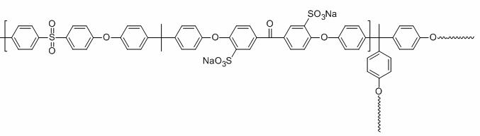 Branch type Sulfonated poly(ketone-sulfone)고분자 구조