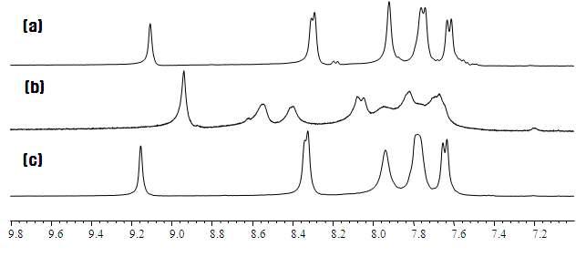 폴리벤지이미다졸 1H-NMR스펙트럼. (a) A-PBI, (b) S-PBI, (C) m-PBI.