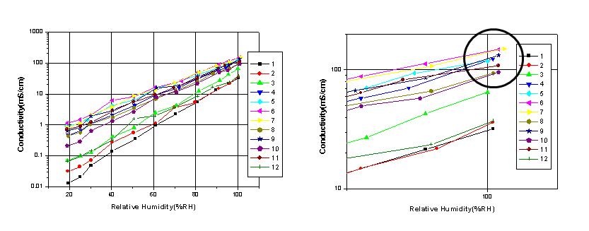 고분자 전해질 막들의 상대습도대 수소이온 전도도 곡선들.