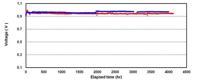 65℃, RH 100%에서 순환전압법으로 측정된 탄화수소계 막 시간대 전압곡선