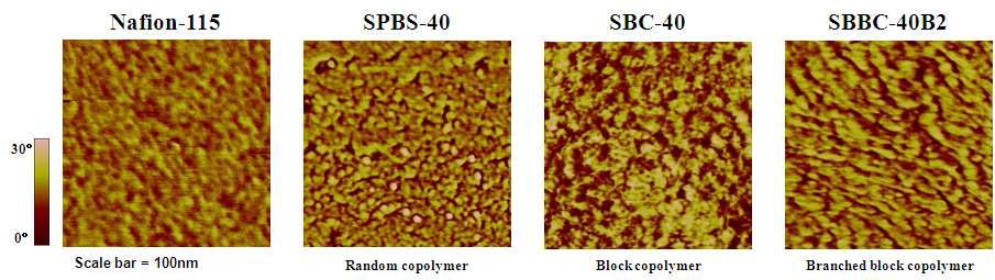 술폰화 랜덤 블록공중합체, 브랜치 블록 공중합체, Nafion-115의 AFM이미지.