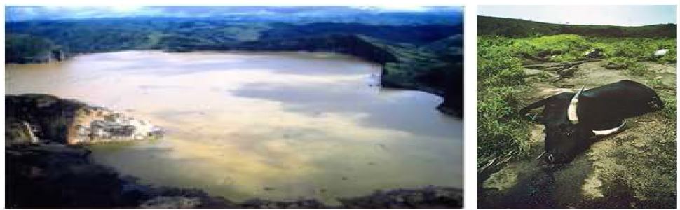 아프리카 카메룬 Nyos 호수 CO2 질식사고