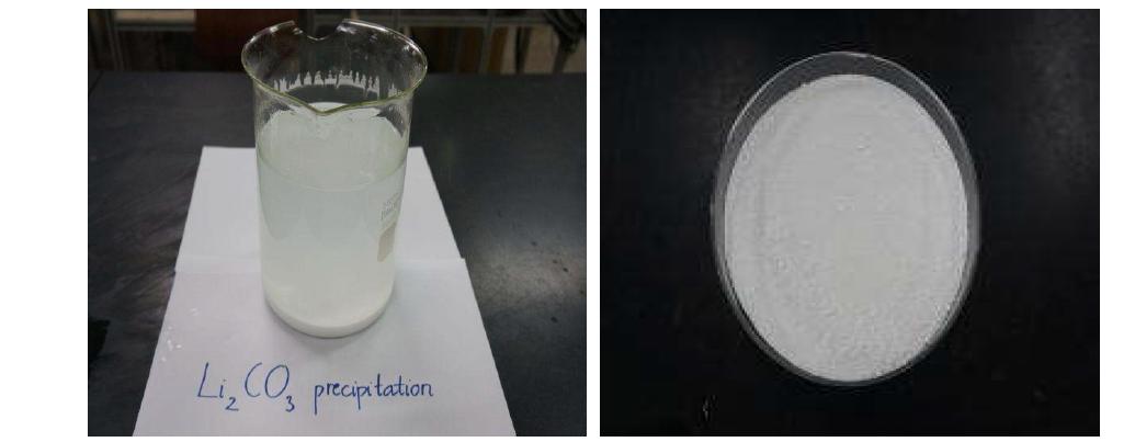 침전된 Lithium carbonate 침전물과 건조 후 제품