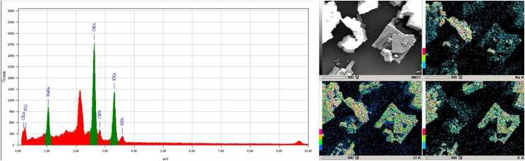 SEM-EDS of the crystal recovered KCl-NaCl aqueous solution by cooling from 80℃ to 20℃.