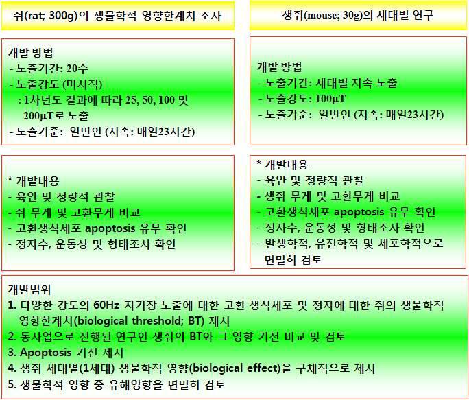 2차년도(해당 연도) 개발내용 및 범위