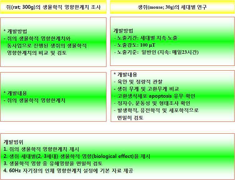 3차년도(해당 연도) 개발내용 및 범위