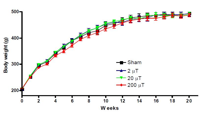 자기장 노출 후 쥐 몸무게 변화. 200 μT 노출 3-10주에서 대조군(Sham control)에 비해 몸무게가 감소하였으나, 유의한 차이는 없었다(각 군당 n=12).