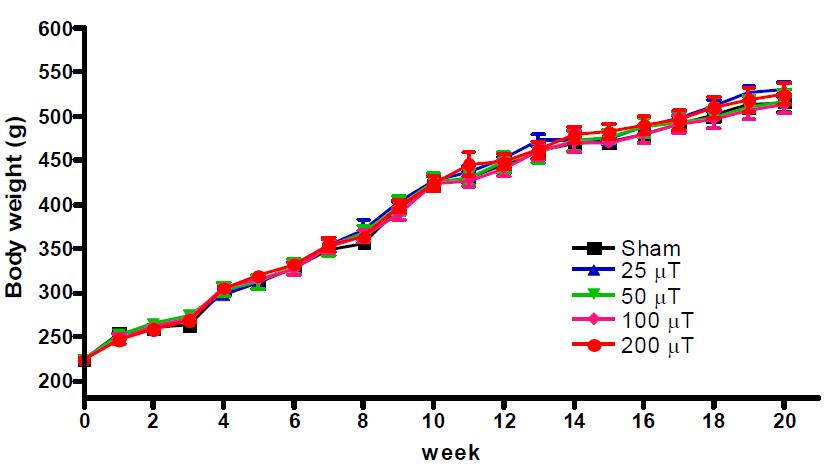자기장 노출 후 쥐 몸무게 변화. 몸무게는 유의한 차이는 없었다