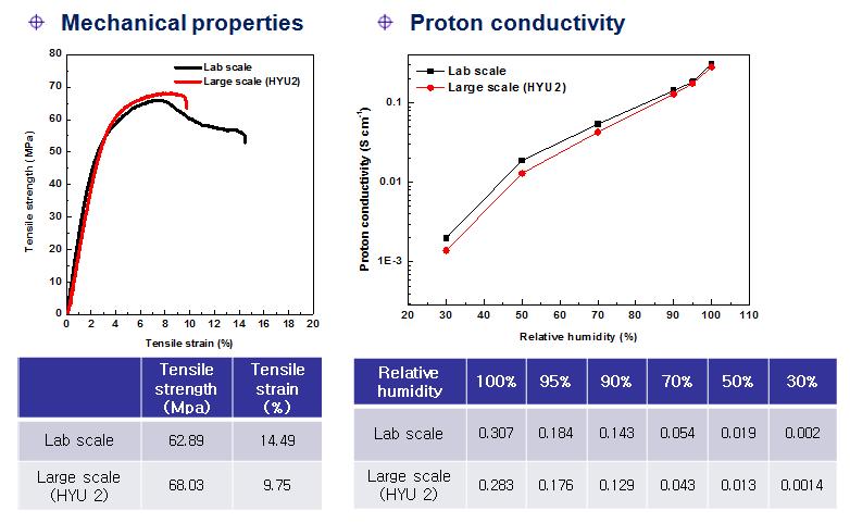 대면적 전해질막의 기본 물성 비교.