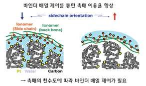 촉매/바인더/용매 조합에 따른 전극 구조 형성.