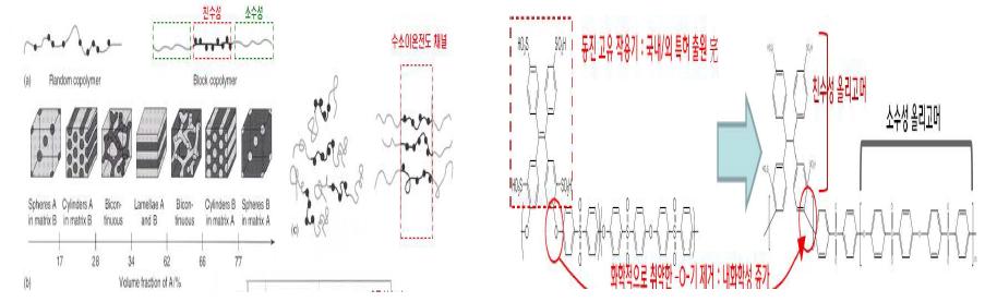 블록고분자 구조 모식도(a) 및 커플링 합성법 모식도.