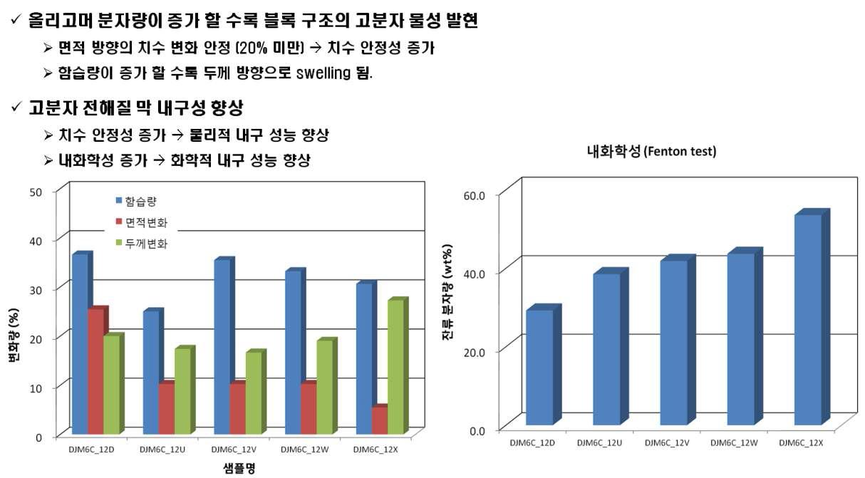 탄화수소계 전해질 막의 치수안정성 및 내화학성.