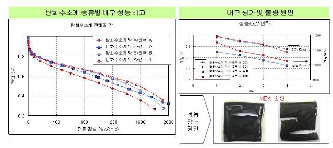 초기 탄화수소계 MEA 평가 결과.