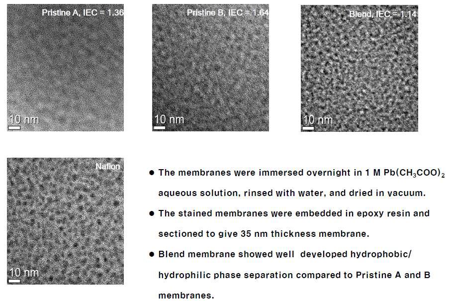 Nafion 및 블렌드 고분자 전해질 막의 TEM 이미지.