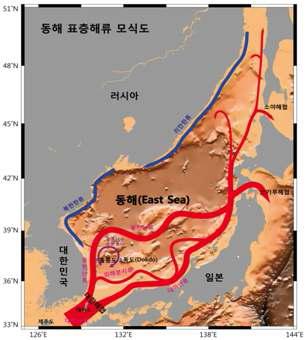 동해 표층해류 모식도.