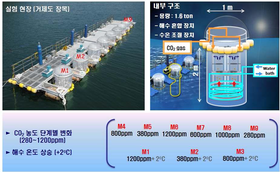 메조코즘 실험 모식도.