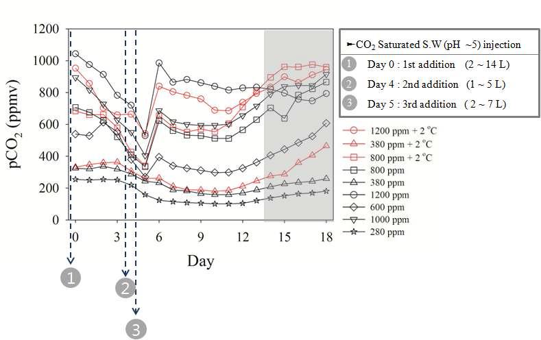 실험 기간 동안 각 실험구별 이산화탄소 농도 변화.