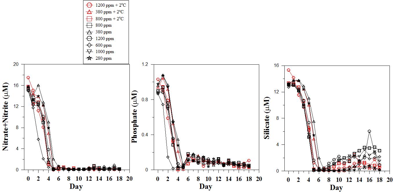 실험 기간 동안 각 실험구별 영양염 농도 변화.