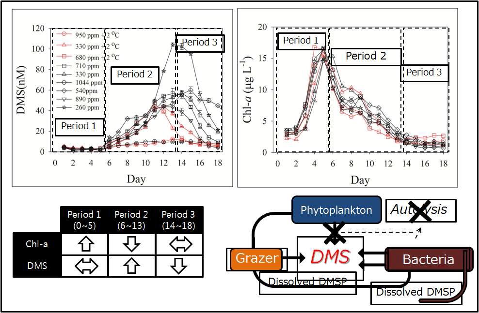 DMS와 전체식물플랑크톤 생체량 변화 및 DMS 생성 요인 파악 모식도