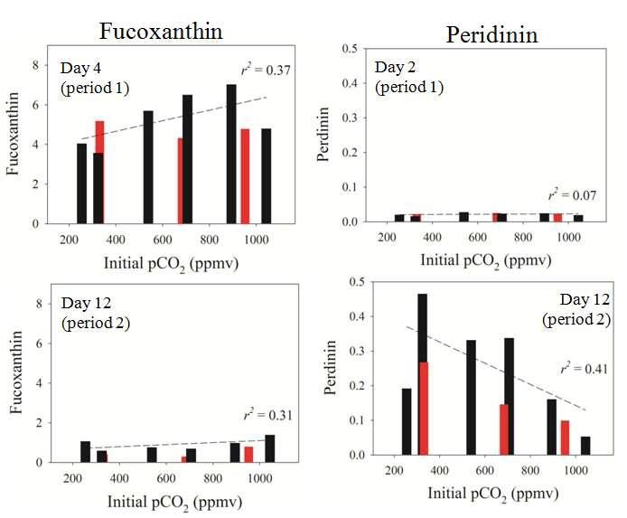 실험구별 period I, II 구간에서 규조류와 와편모조류이 biomarker 인 fucoxanthin 과 peridinin 이 색소 변화.