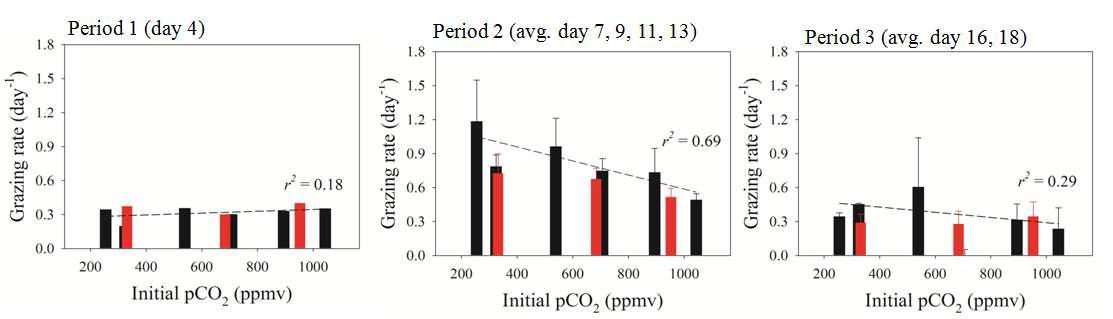 실험기간동안 실험구별 포식압 (grazing rate) 변화.