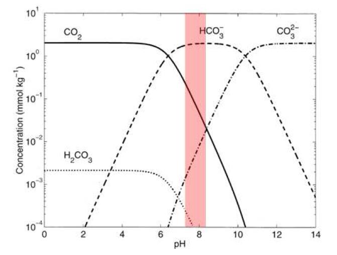 pH에 따른 용존 carbonate 종의 농도