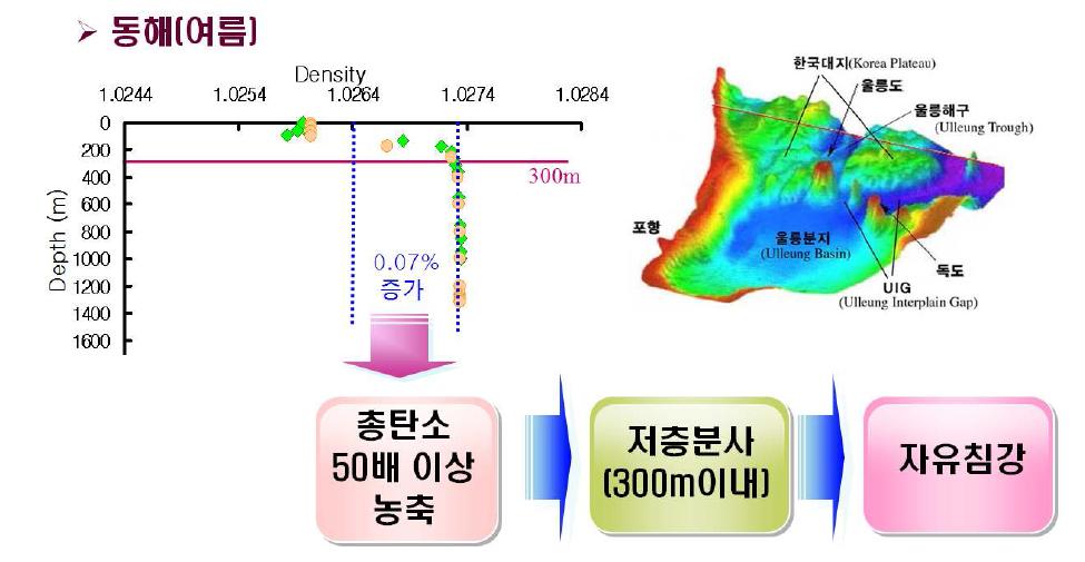 CO2 농축수의 해양주입 개념도.