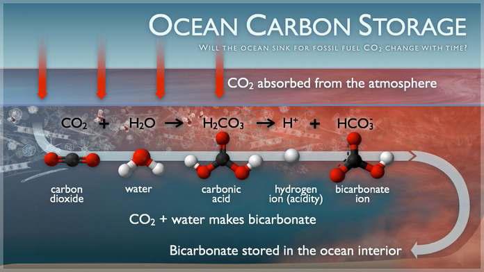 해양의 CO2 흡수 개념도.