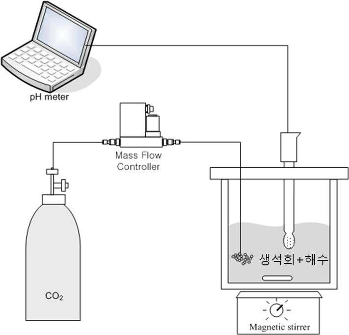 CO2 변환 • 농축 메커니즘 규명을 위한 실험 모식도