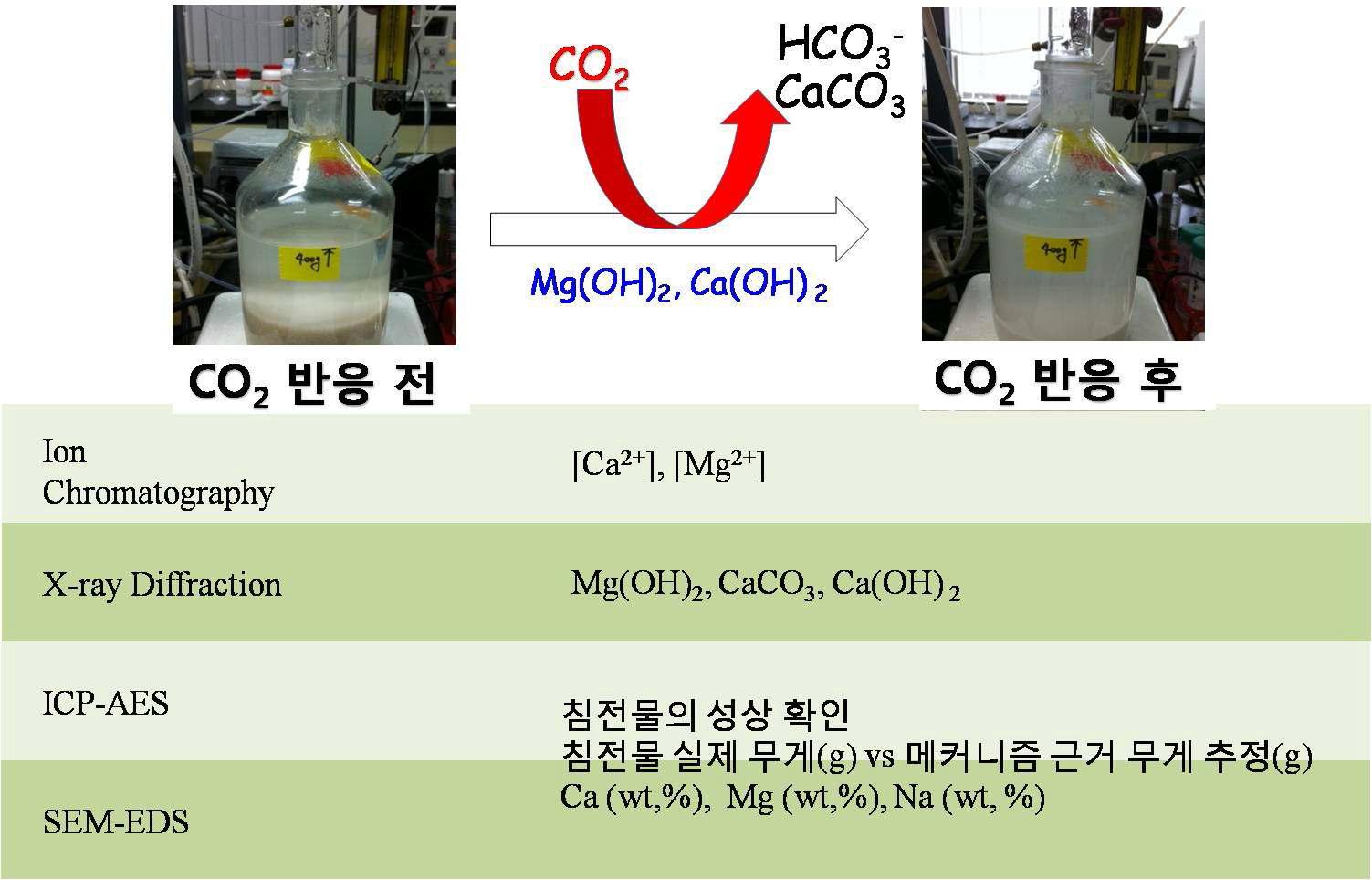 CO2 흡수량을 평가하기 위한 방법.