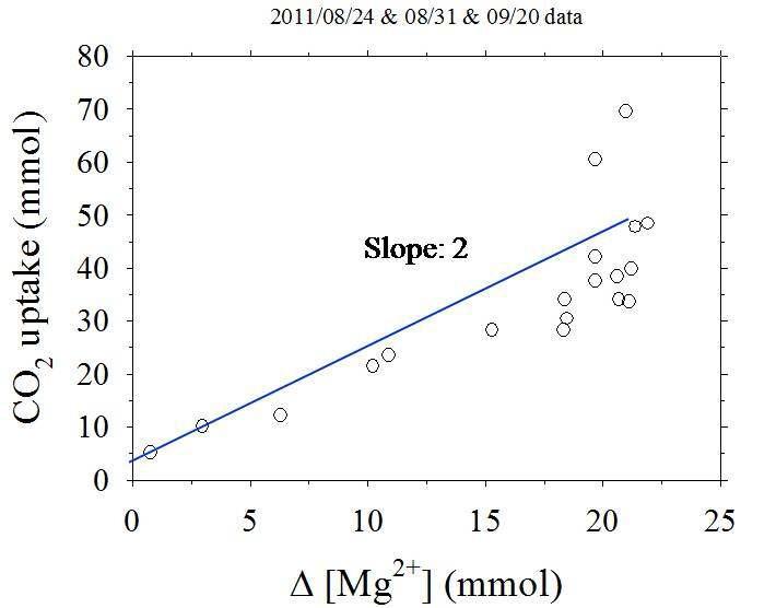 D[Mg2+]와 CO2 uptake의 관계