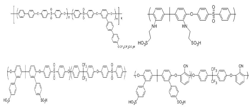 (a) Partially fluorinated poly(arylene ether sulfone) : DJM-2, (b) Poly(sulfone-co-imide) : DJM-3, (c) Hexafluorinated poly(arylene ether) : DJM-4, (d) Poly(arylene ether) :DJM-5