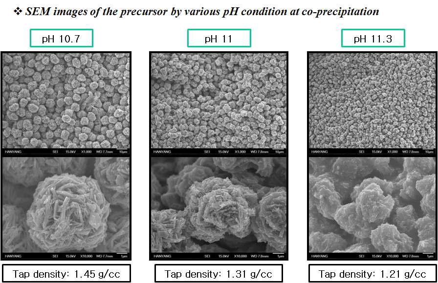 SEM images of the precursor by various pH condition at co-precipitation