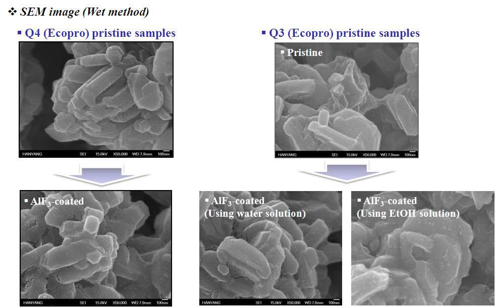 SEM image (wet method)