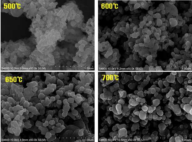 LiMn0.6Fe0.4PO4/C_PVB 5% 열처리 온도에 따른 전자현미경 사진들