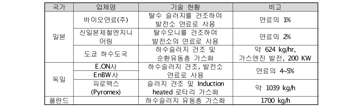 국외 슬러지 연료화/가스화 기술개발 현황